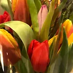 City Hotel Lippstadt Lippstadt