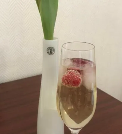 City Hotel Lippstadt فندق يبستات