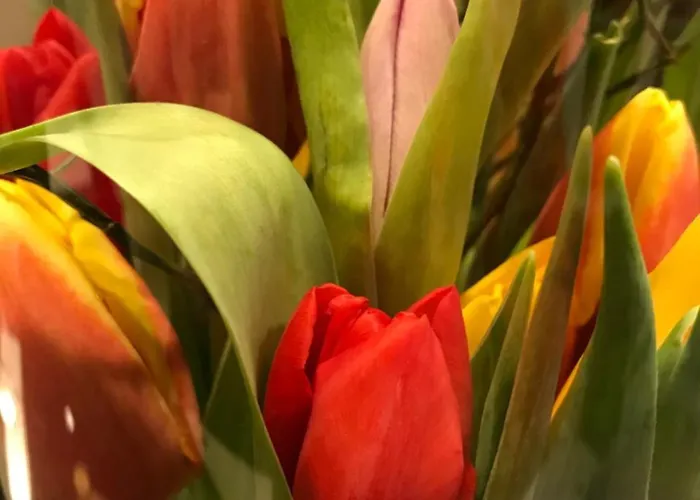 City Hotel Lippstadt Lippstadt